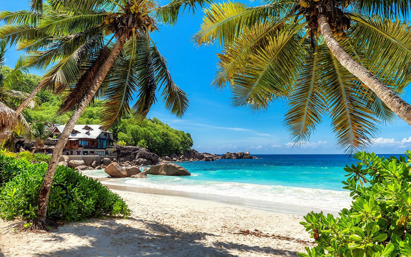 Best Time to Visit Zanzibar - Nuru Expeditions